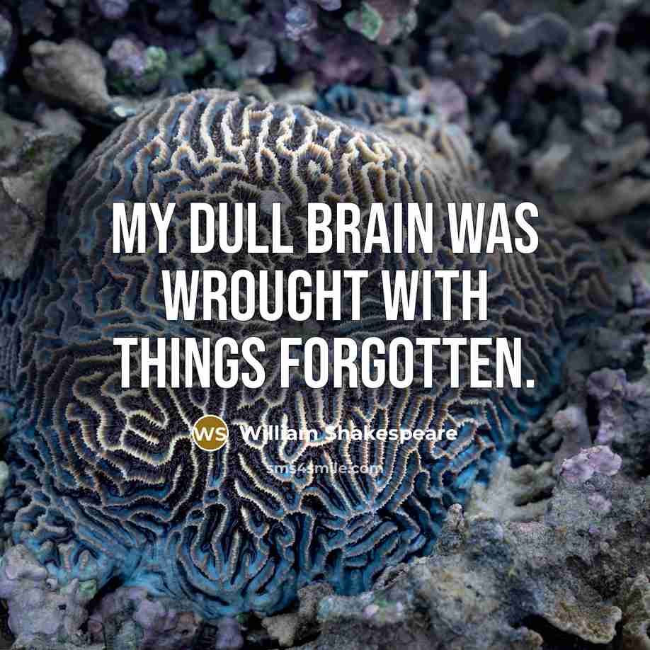 “My dull brain was wrought with things forgotten.” quote by William Shakespeare