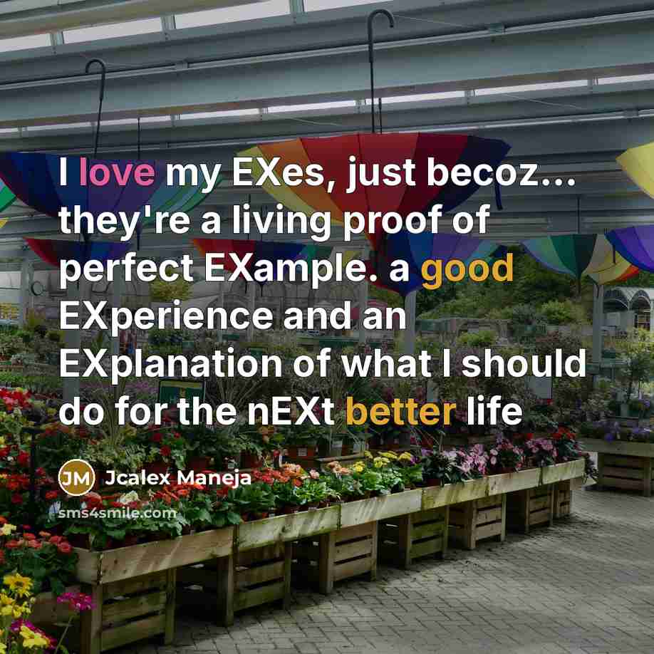 “I love my EXes, just becoz... they're a living proof of perfect EXample. a good EXperience and an EXplanation of what I should do for the nEXt better life” quote by Jcalex Maneja