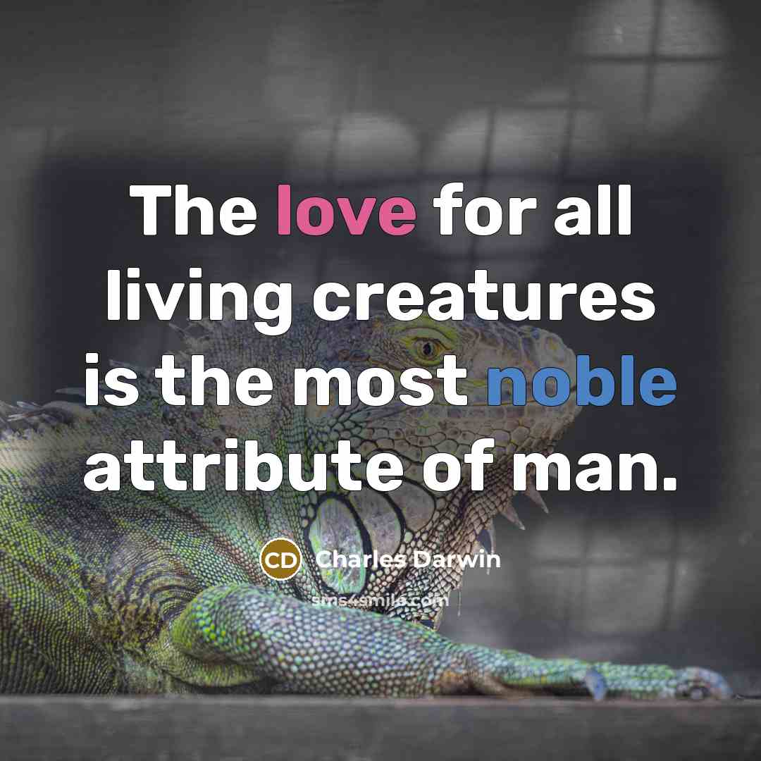“The love for all living creatures is the most noble attribute of man.” quote by Charles Darwin