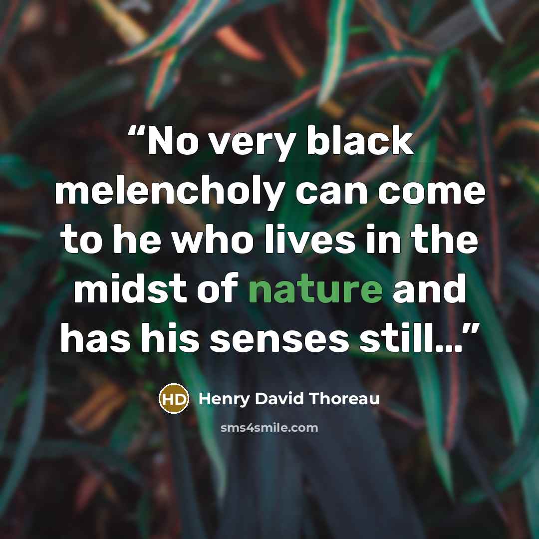 “No very black melencholy can come to he who lives in the midst of nature and has his senses still…” quote by Henry David Thoreau