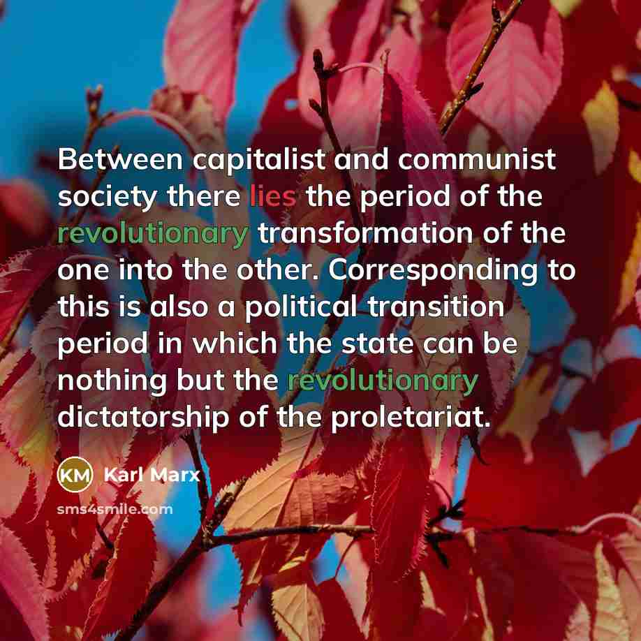 “Between capitalist and communist society there lies the period of the revolutionary transformation of the one into the other. Corresponding to this is also a political transition period in which the state can be nothing but the revolutionary dictatorship of the proletariat.” quote by Karl Marx