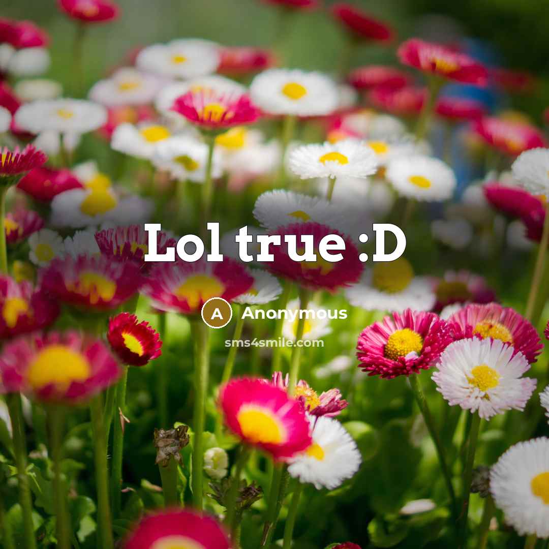 “Lol true :D” quote by Anonymous