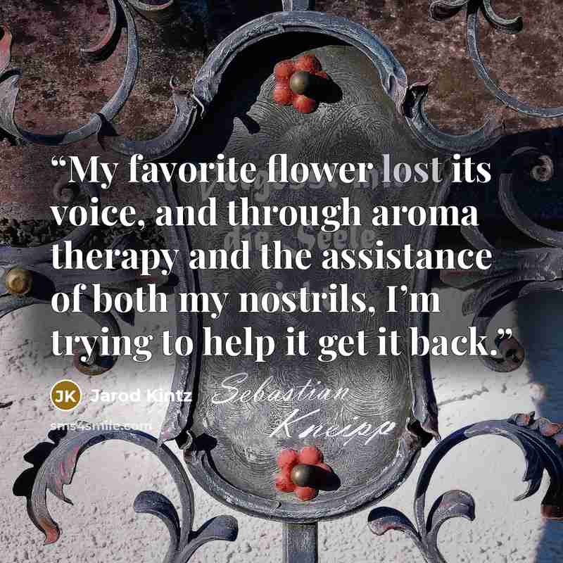“My favorite flower lost its voice, and through aroma therapy and the assistance of both my nostrils, I’m trying to help it get it back.” quote by Jarod Kintz