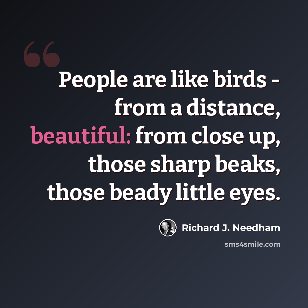 “People are like birds - from a distance, beautiful: from close up, those sharp beaks, those beady little eyes.” quote by Richard J. Needham