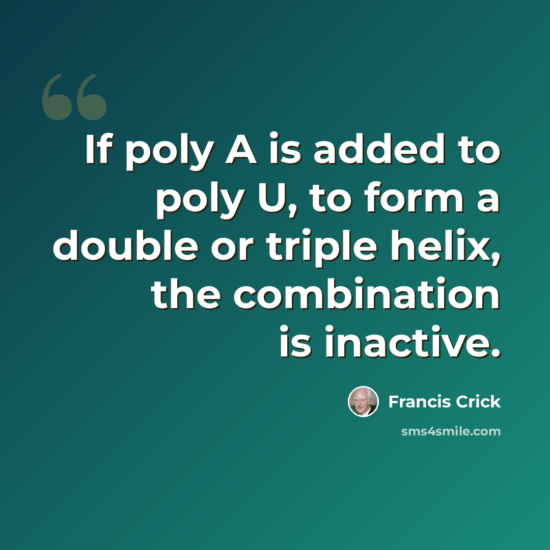 “If poly A is added to poly U, to form a double or triple helix, the combination is inactive.” quote by Francis Crick