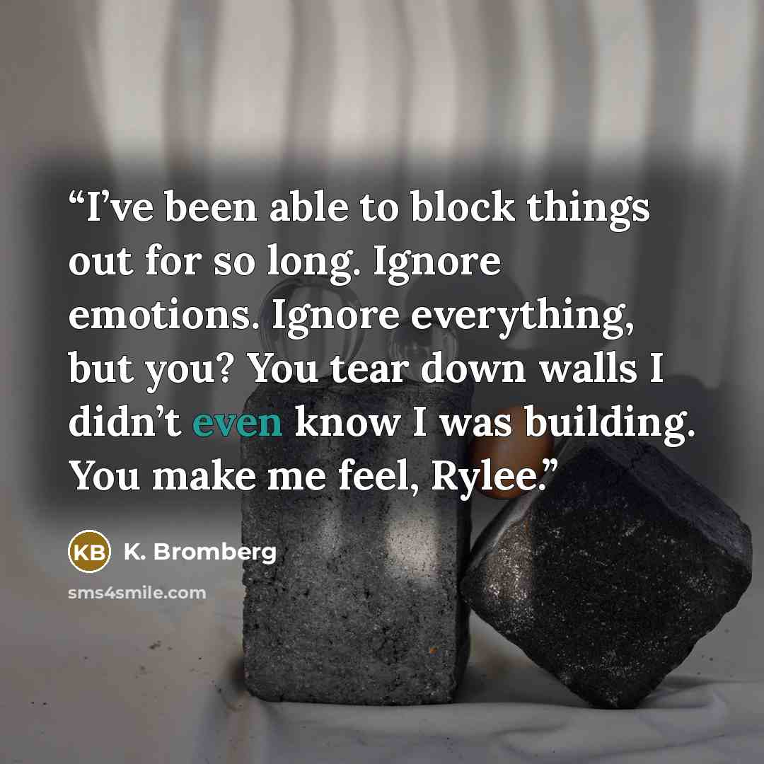 “I’ve been able to block things out for so long. Ignore emotions. Ignore everything, but you? You tear down walls I didn’t even know I was building. You make me feel, Rylee.” quote by K. Bromberg