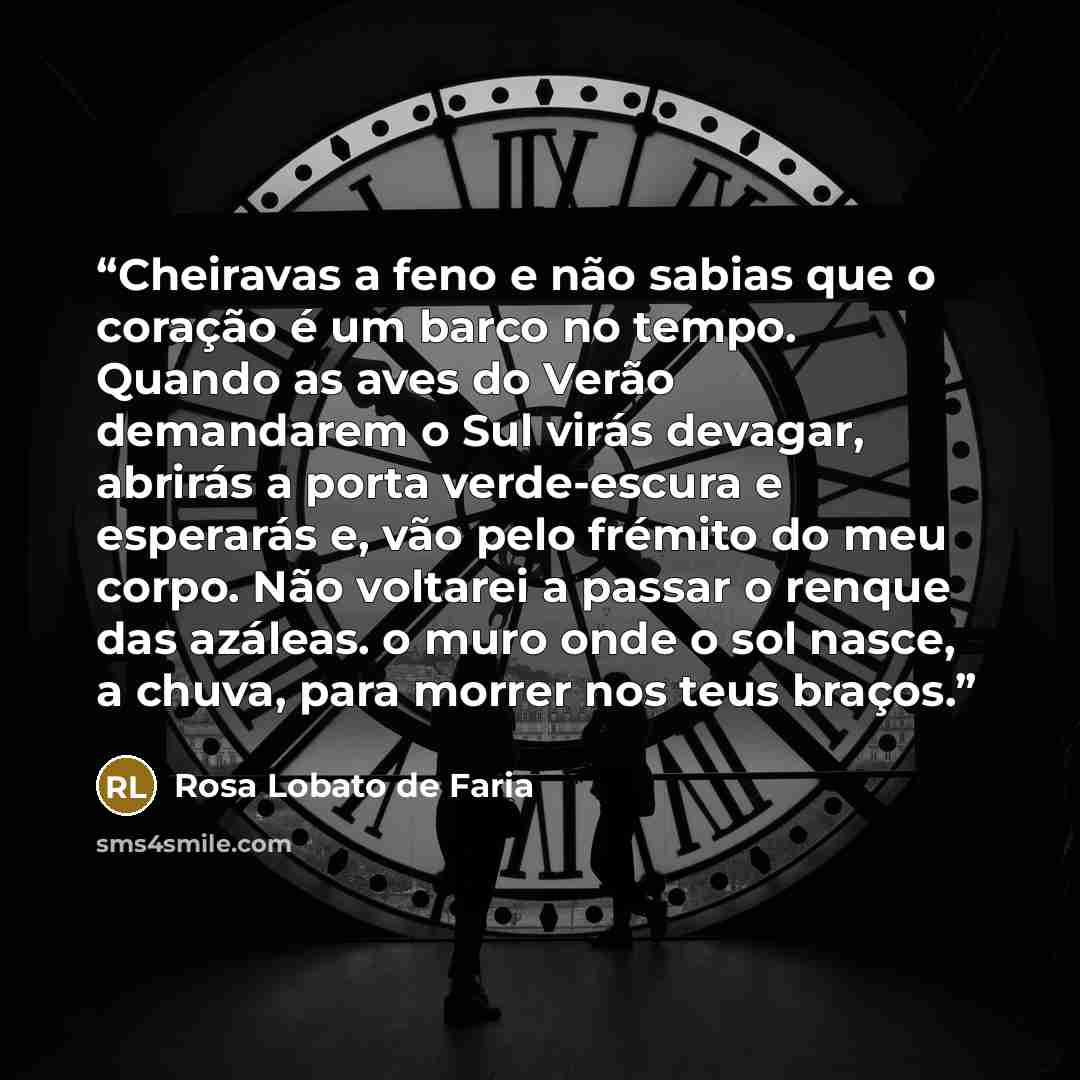 “Cheiravas a feno e não sabias que o coração é um barco no tempo. Quando as aves do Verão demandarem o Sul virás devagar, abrirás a porta verde-escura e esperarás e, vão pelo frémito do meu corpo. Não voltarei a passar o renque das azáleas. o muro onde o sol nasce, a chuva, para morrer nos teus…” quote by Rosa Lobato de Faria