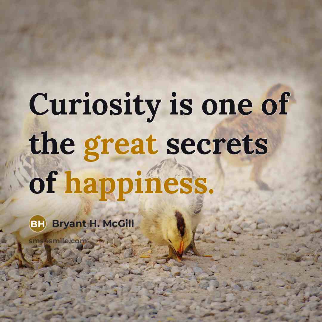 “Curiosity is one of the great secrets of happiness.” quote by Bryant H. McGill
