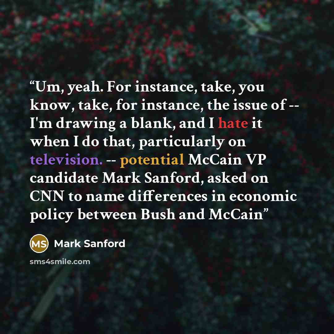 “Um, yeah. For instance, take, you know, take, for instance, the issue of -- I'm drawing a blank, and I hate it when I do that, particularly on television. -- potential McCain VP candidate Mark Sanford, asked on CNN to name differences in economic policy between Bush and McCain” quote by Mark Sanford