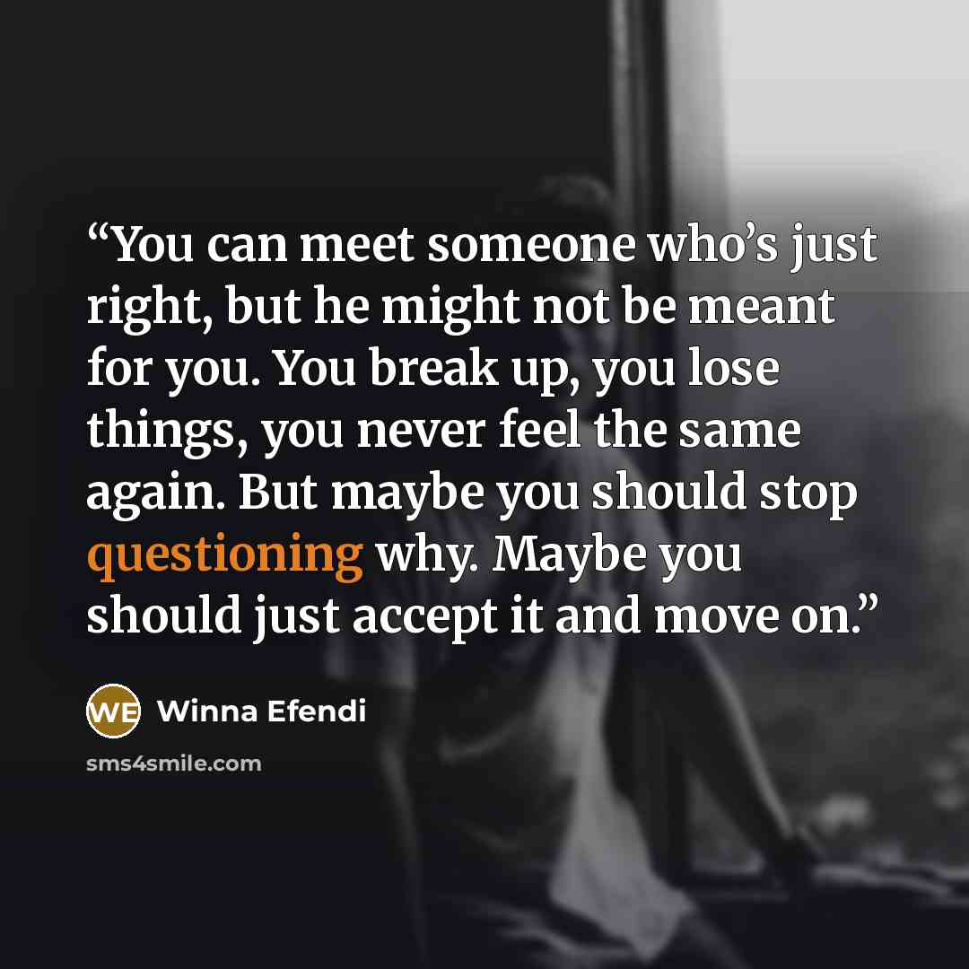 “You can meet someone who’s just right, but he might not be meant for you. You break up, you lose things, you never feel the same again. But maybe you should stop questioning why. Maybe you should just accept it and move on.” quote by Winna Efendi