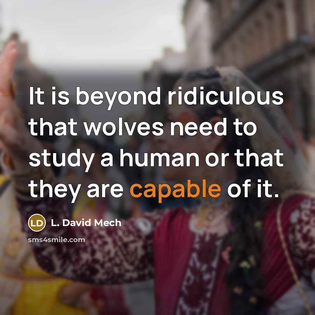 “It is beyond ridiculous that wolves need to study a human or that they are capable of it.” quote by L. David Mech