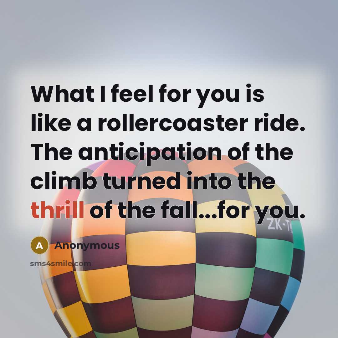 “What I feel for you is like a rollercoaster ride. The anticipation of the climb turned into the thrill of the fall...for you.” quote by Anonymous