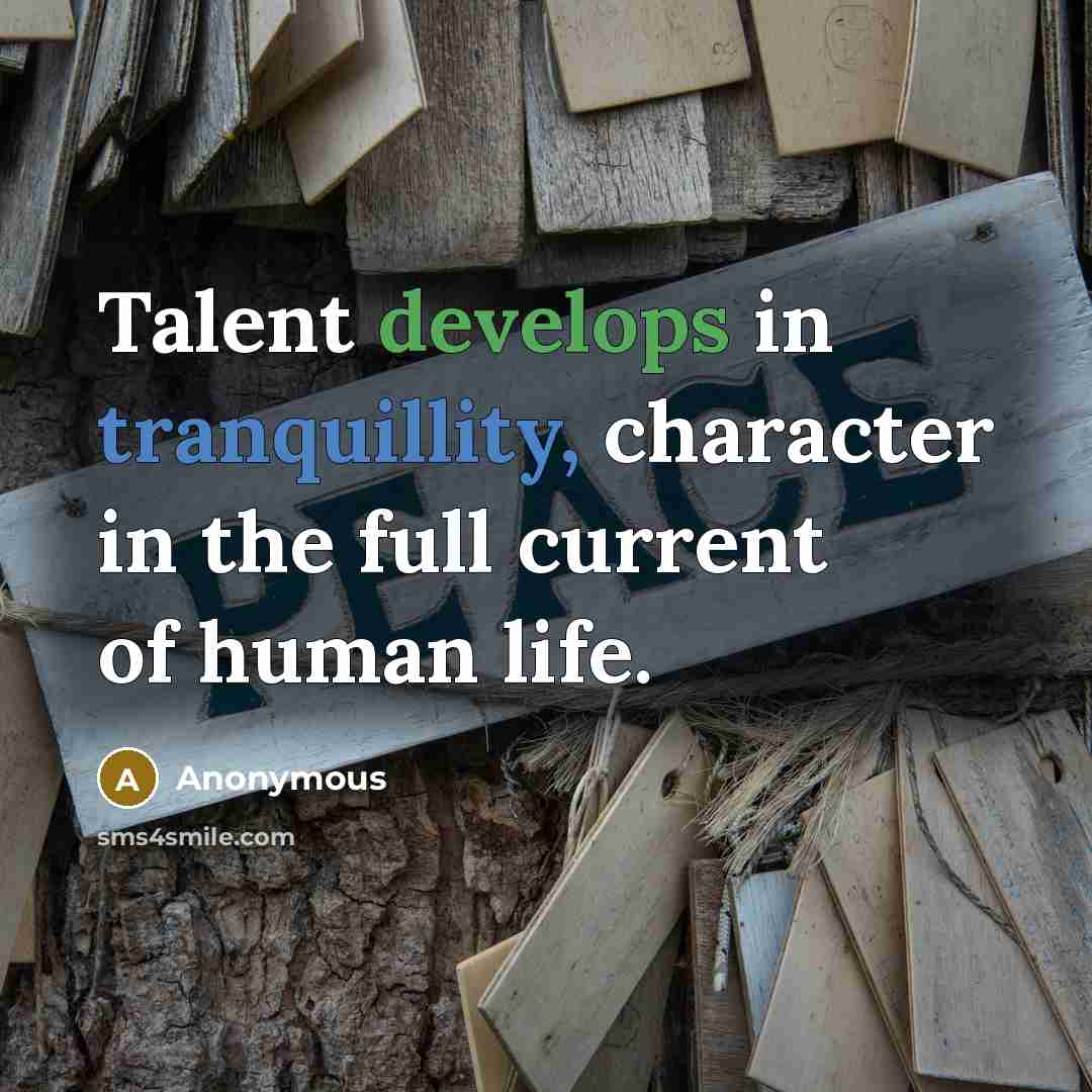 “Talent develops in tranquillity, character in the full current of human life.” quote by Anonymous