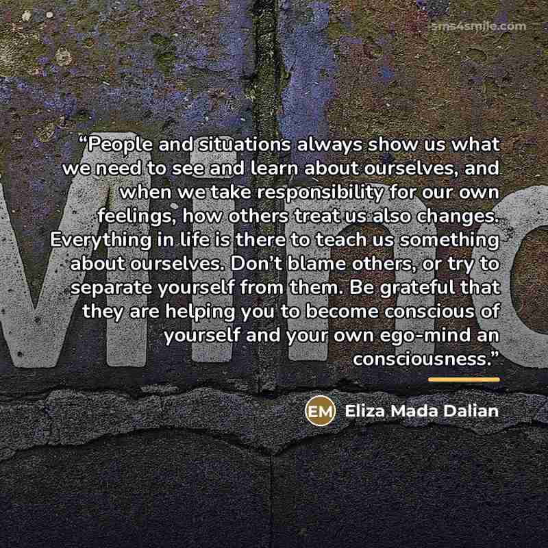 “People and situations always show us what we need to see and learn about ourselves, and when we take responsibility for our own feelings, how others treat us also changes. Everything in life is there to teach us something about ourselves. Don’t blame others, or try to separate yourself from them…” quote by Eliza Mada Dalian