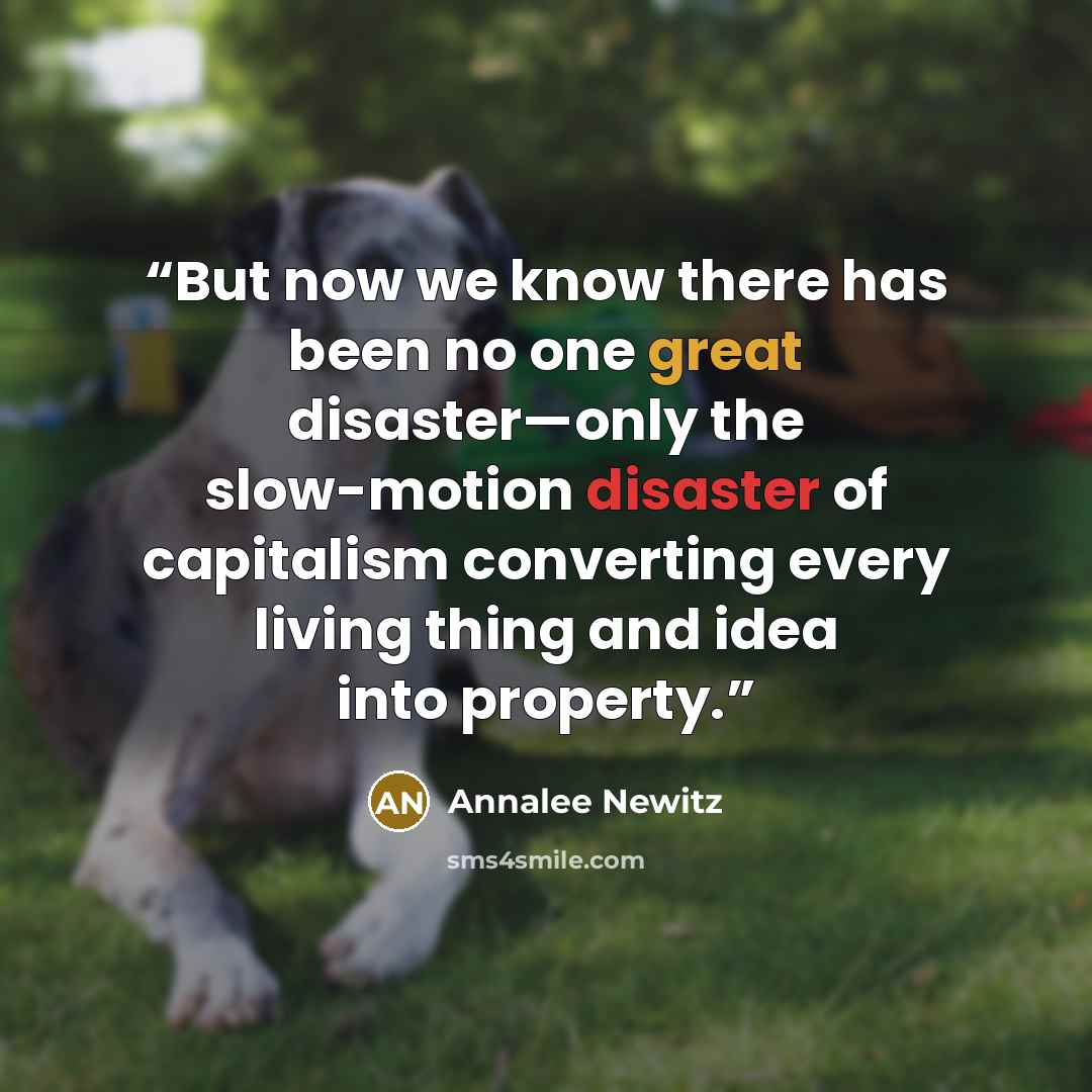 “But now we know there has been no one great disaster—only the slow-motion disaster of capitalism converting every living thing and idea into property.” quote by Annalee Newitz