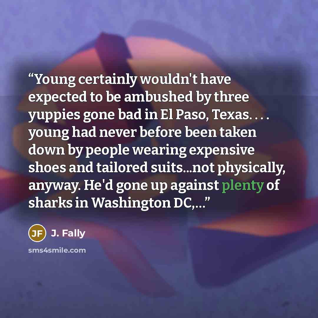 “Young certainly wouldn't have expected to be ambushed by three yuppies gone bad in El Paso, Texas. . . . young had never before been taken down by people wearing expensive shoes and tailored suits...not physically, anyway. He'd gone up against plenty of sharks in Washington DC,…” quote by J. Fally