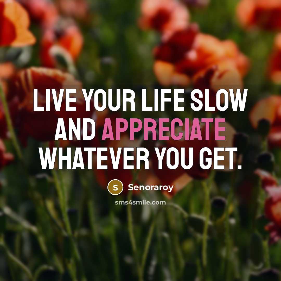 “Live your life slow and appreciate whatever you get.” quote by Senoraroy
