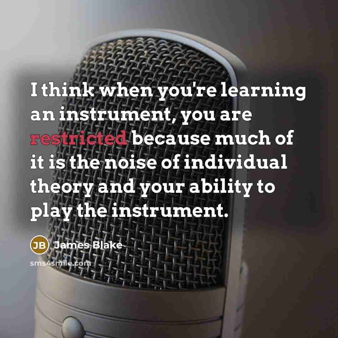 “I think when you're learning an instrument, you are restricted because much of it is the noise of individual theory and your ability to play the instrument.” quote by James Blake