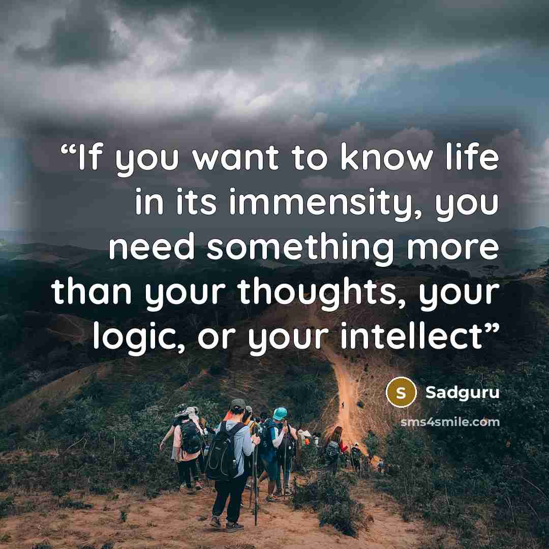“If you want to know life in its immensity, you need something more than your thoughts, your logic, or your intellect” quote by Sadguru