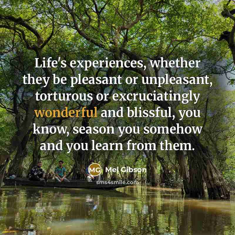 “Life's experiences, whether they be pleasant or unpleasant, torturous or excruciatingly wonderful and blissful, you know, season you somehow and you learn from them.” quote by Mel Gibson
