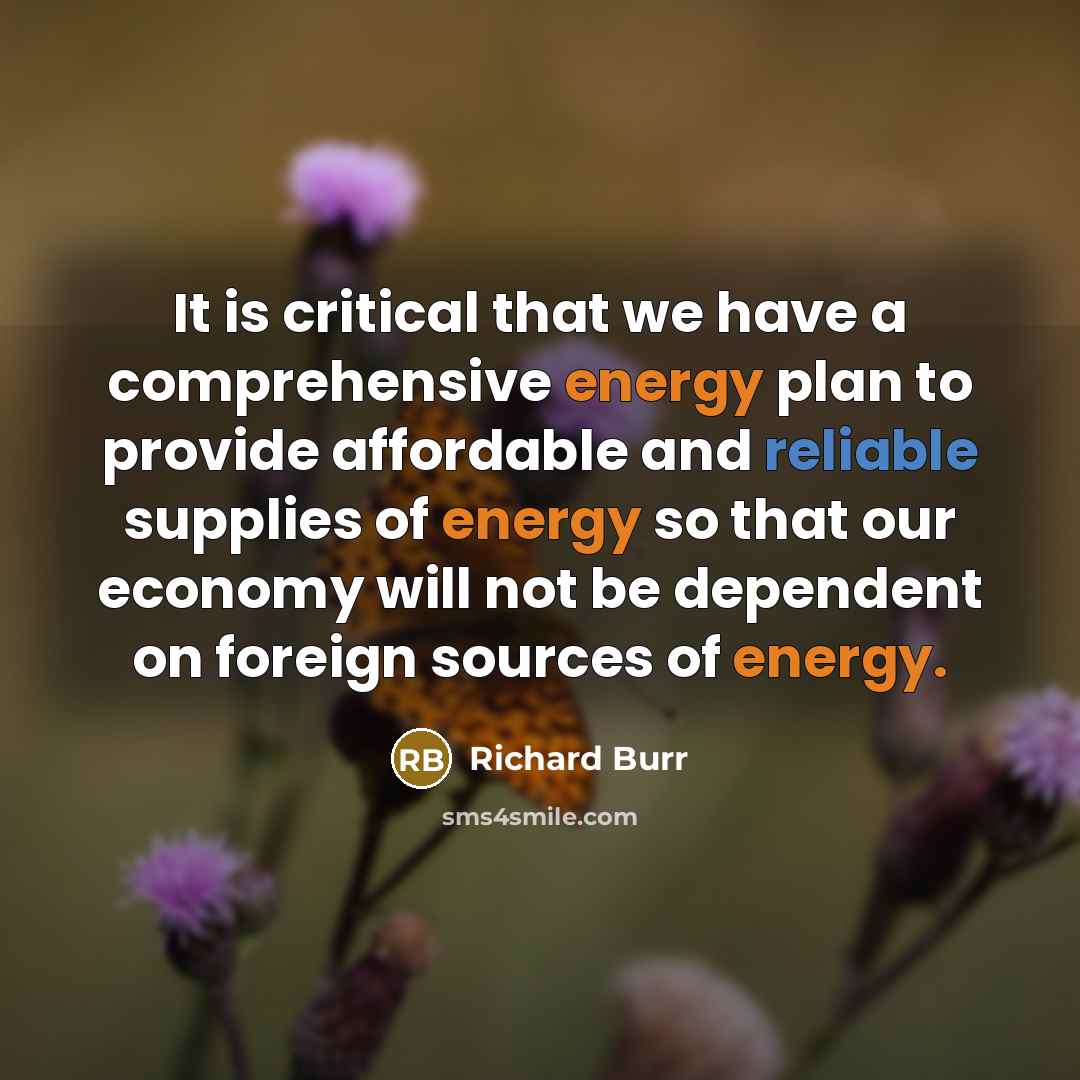 “It is critical that we have a comprehensive energy plan to provide affordable and reliable supplies of energy so that our economy will not be dependent on foreign sources of energy.” quote by Richard Burr