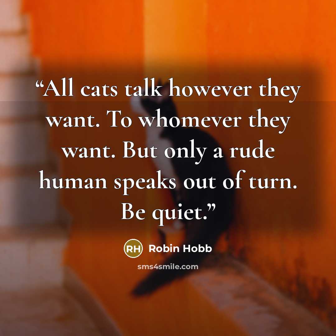 “All cats talk however they want. To whomever they want. But only a rude human speaks out of turn. Be quiet.” quote by Robin Hobb