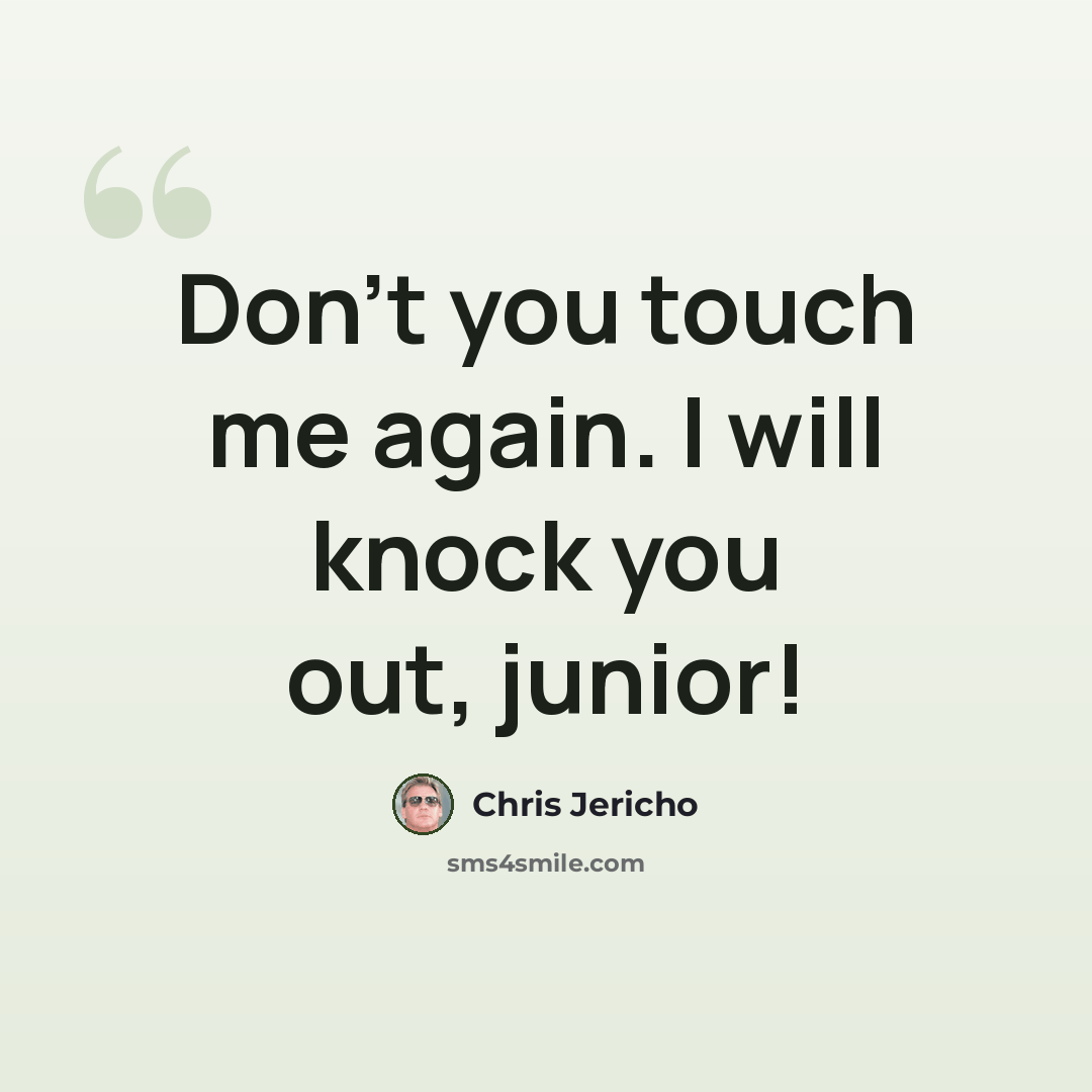 “Don't you touch me again. I will knock you out, junior!” quote by Chris Jericho