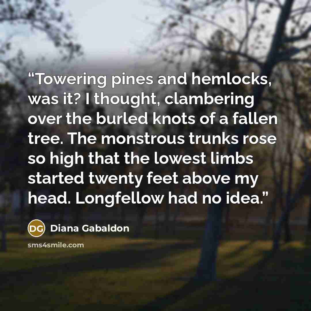“Towering pines and hemlocks, was it? I thought, clambering over the burled knots of a fallen tree. The monstrous trunks rose so high that the lowest limbs started twenty feet above my head. Longfellow had no idea.” quote by Diana Gabaldon