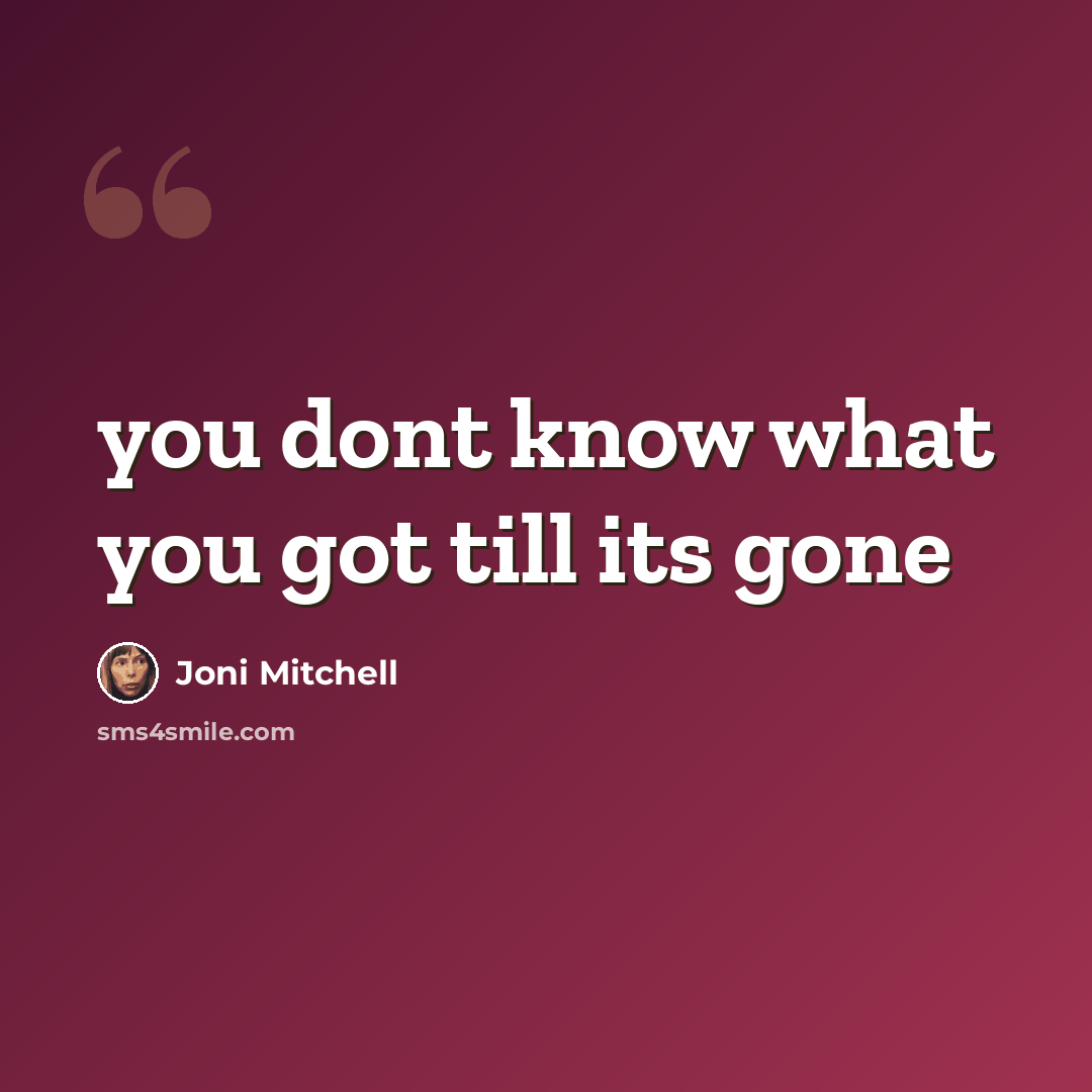 “you dont know what you got till its gone” quote by Joni Mitchell
