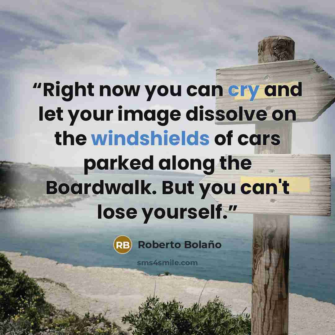 “Right now you can cry and let your image dissolve on the windshields of cars parked along the Boardwalk. But you can't lose yourself.” quote by Roberto Bolaño