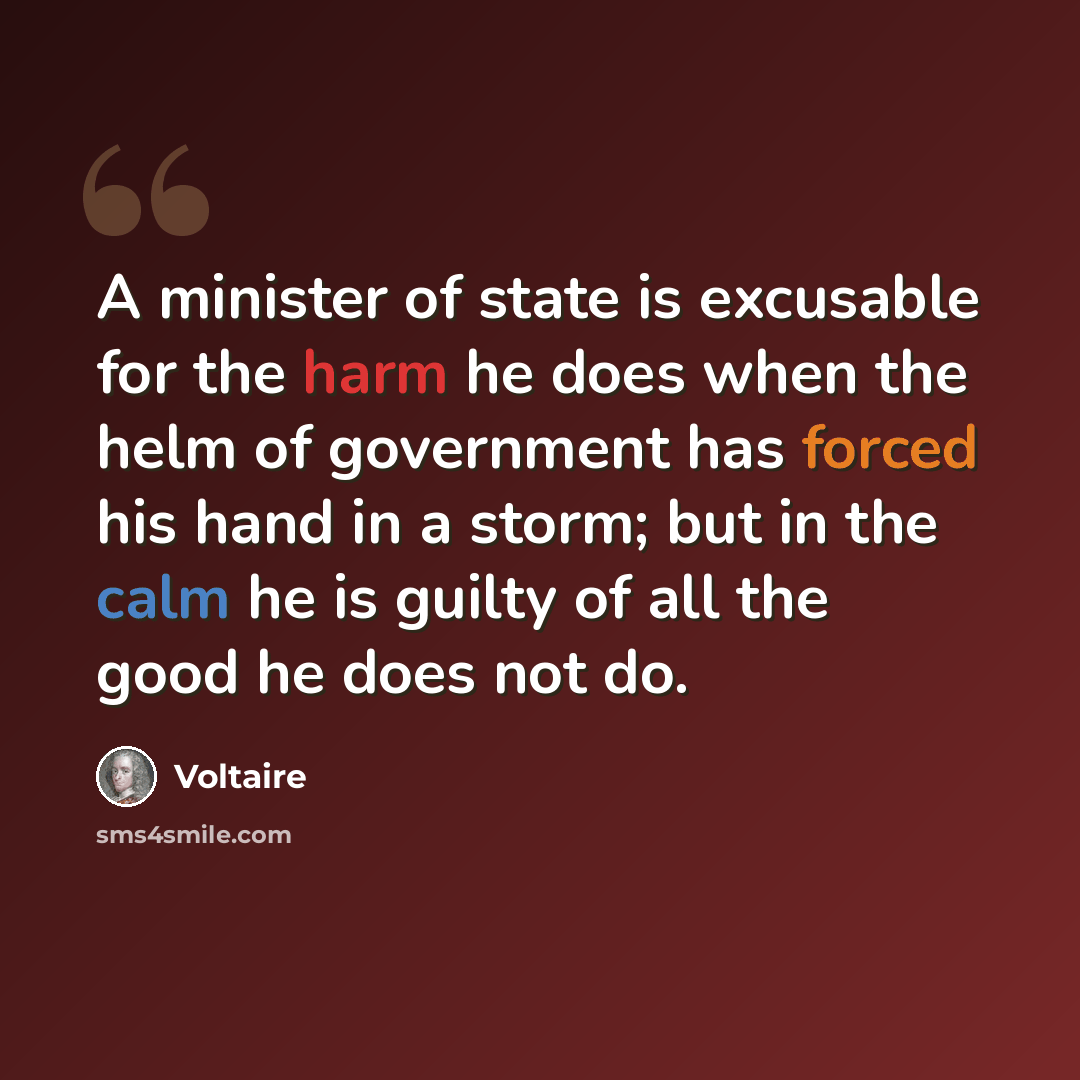 “A minister of state is excusable for the harm he does when the helm of government has forced his hand in a storm; but in the calm he is guilty of all the good he does not do.” quote by Voltaire