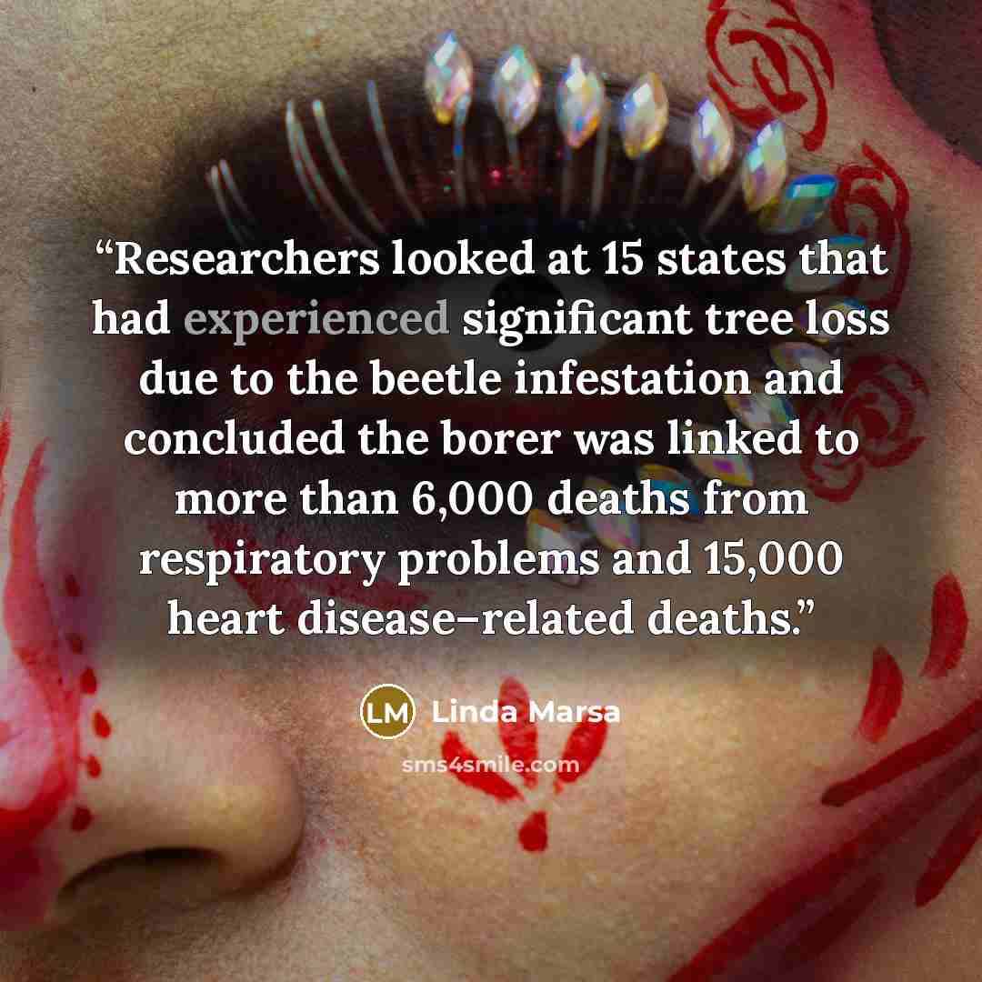 “Researchers looked at 15 states that had experienced significant tree loss due to the beetle infestation and concluded the borer was linked to more than 6,000 deaths from respiratory problems and 15,000 heart disease–related deaths.” quote by Linda Marsa