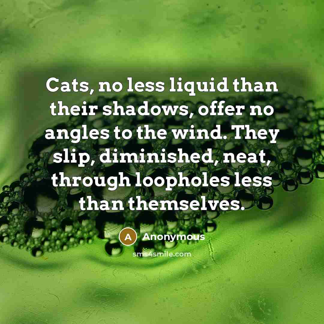 “Cats, no less liquid than their shadows, offer no angles to the wind. They slip, diminished, neat, through loopholes less than themselves.” quote by Anonymous