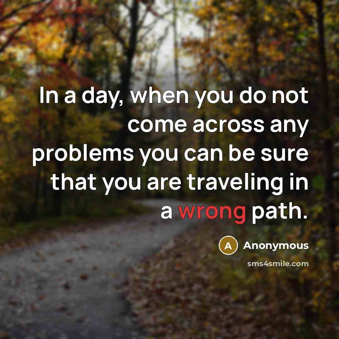 “In a day, when you do not come across any problems you can be sure that you are traveling in a wrong path.” quote by Anonymous