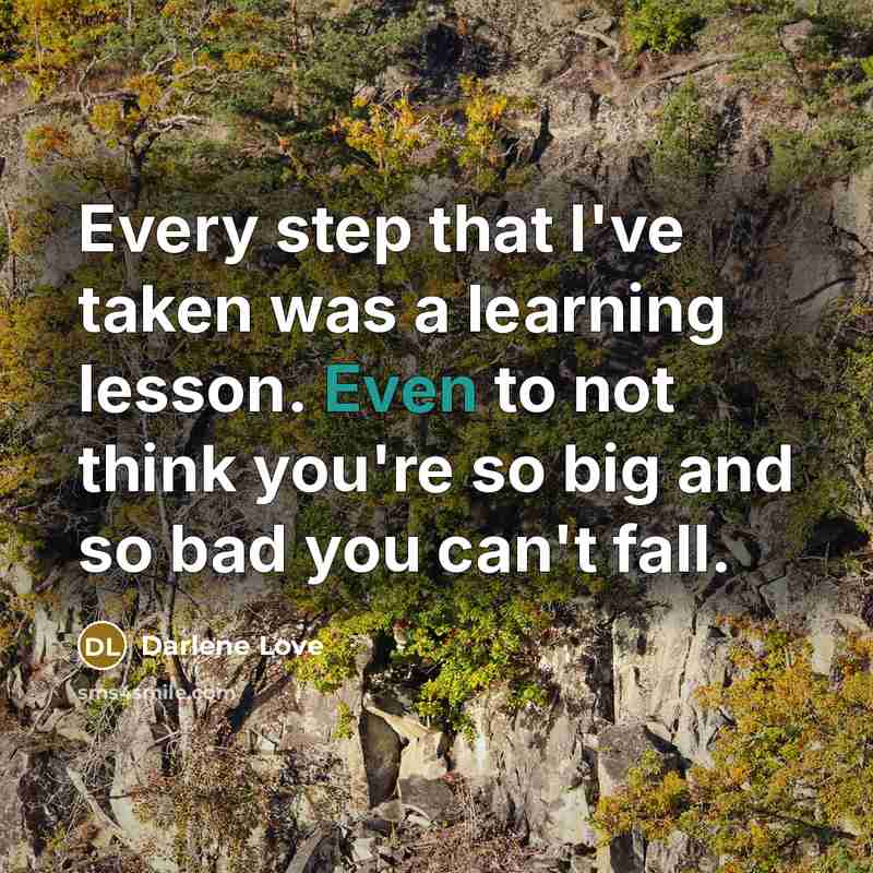 “Every step that I've taken was a learning lesson. Even to not think you're so big and so bad you can't fall.” quote by Darlene Love