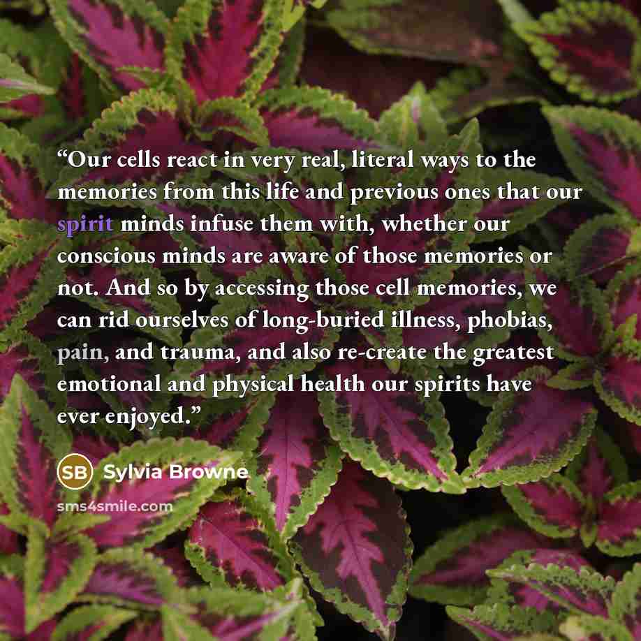 “Our cells react in very real, literal ways to the memories from this life and previous ones that our spirit minds infuse them with, whether our conscious minds are aware of those memories or not. And so by accessing those cell memories, we can rid ourselves of long-buried illness, phobias, pain…” quote by Sylvia Browne