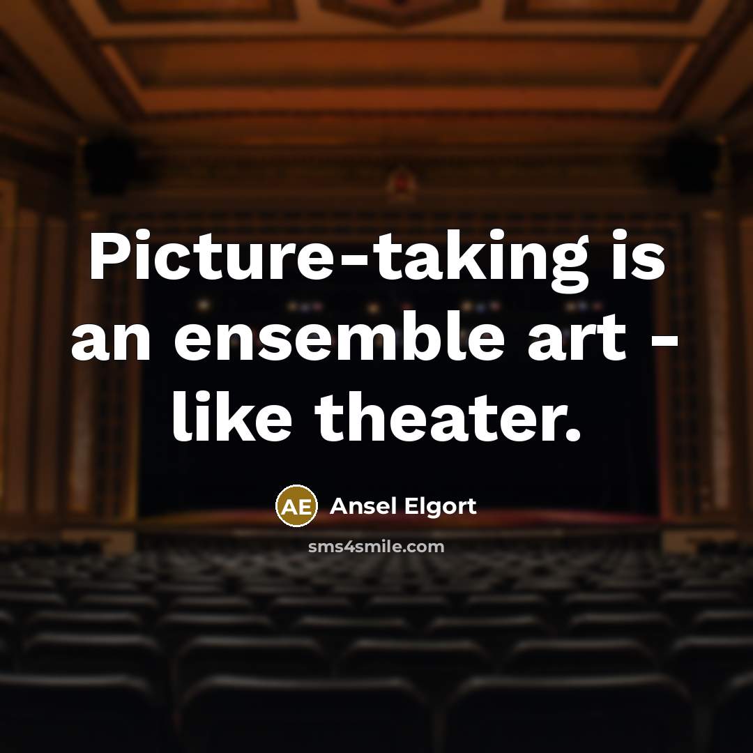 “Picture-taking is an ensemble art - like theater.” quote by Ansel Elgort