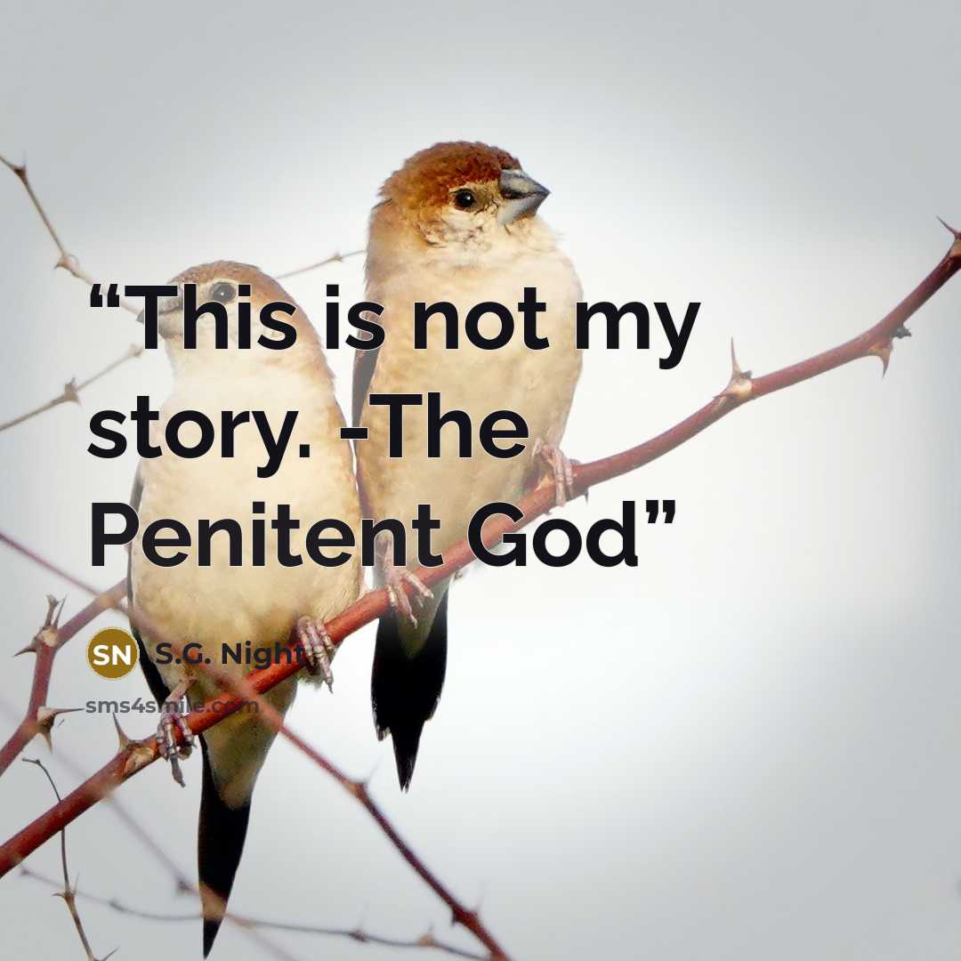 “This is not my story. -The Penitent God” quote by S.G. Night