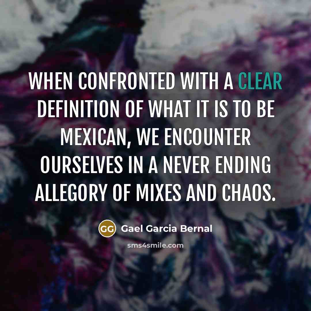 “When confronted with a clear definition of what it is to be Mexican, we encounter ourselves in a never ending allegory of mixes and chaos.” quote by Gael Garcia Bernal