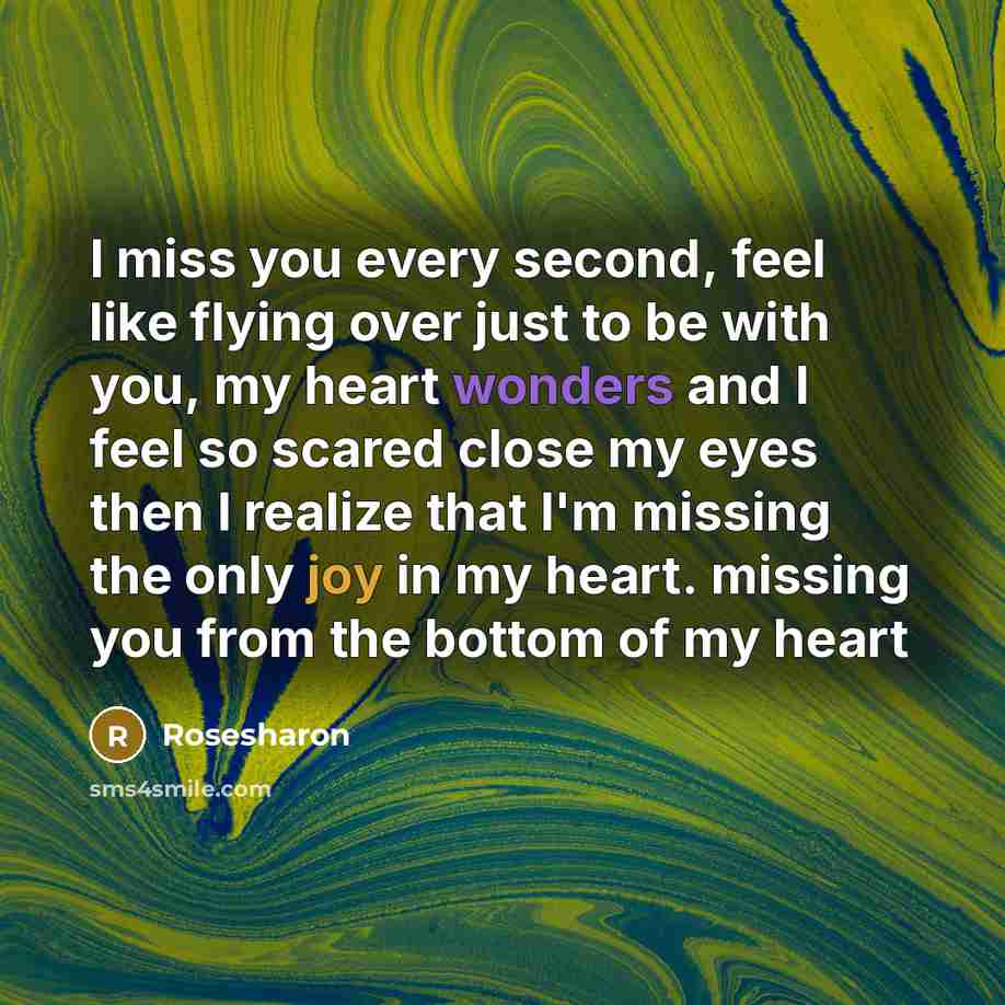 “I miss you every second, feel like flying over just to be with you, my heart wonders and I feel so scared close my eyes then I realize that I'm missing the only joy in my heart. missing you from the bottom of my heart” quote by Rosesharon
