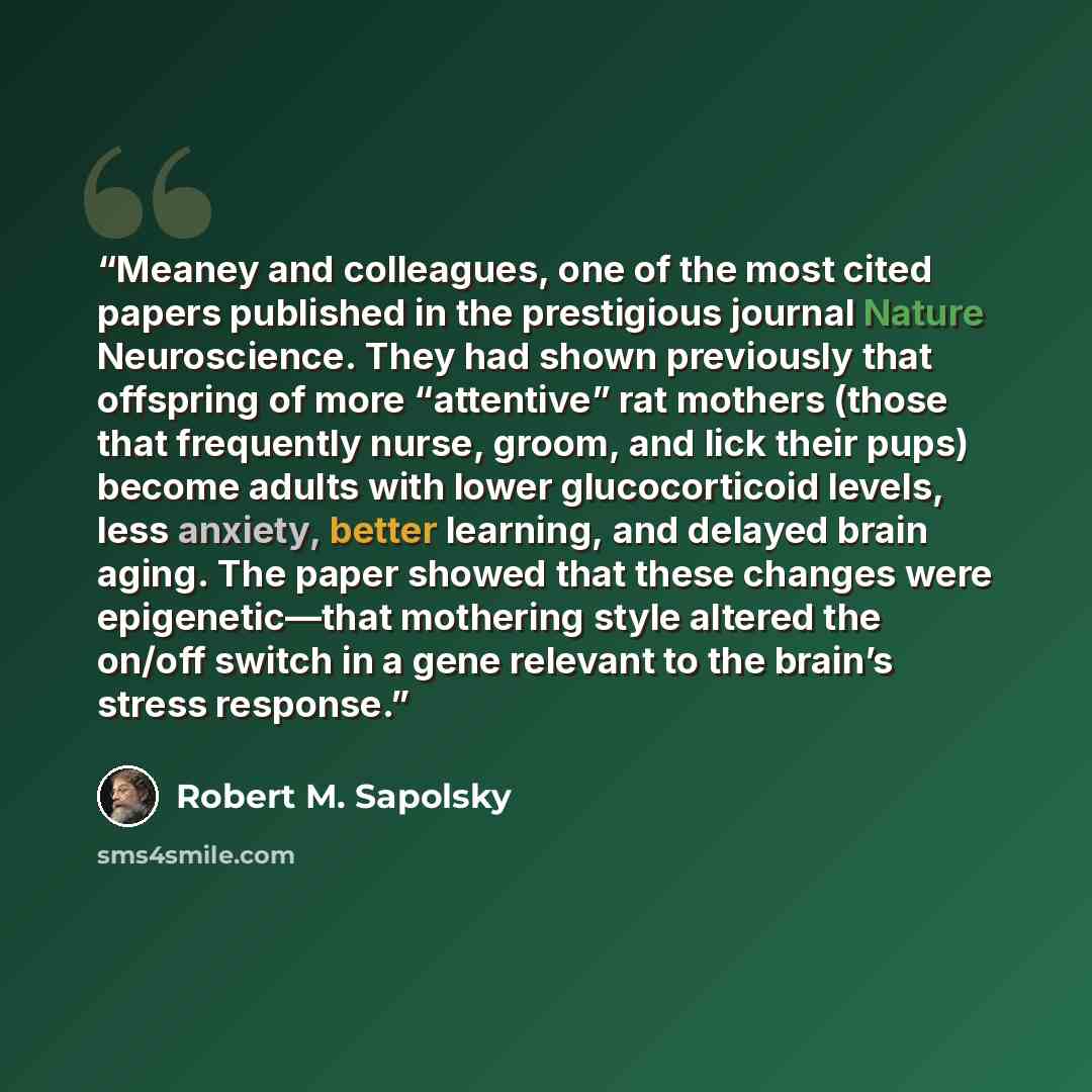 “Meaney and colleagues, one of the most cited papers published in the prestigious journal Nature Neuroscience. They had shown previously that offspring of more “attentive” rat mothers (those that frequently nurse, groom, and lick their pups) become adults with lower glucocorticoid levels, less…” quote by Robert M. Sapolsky