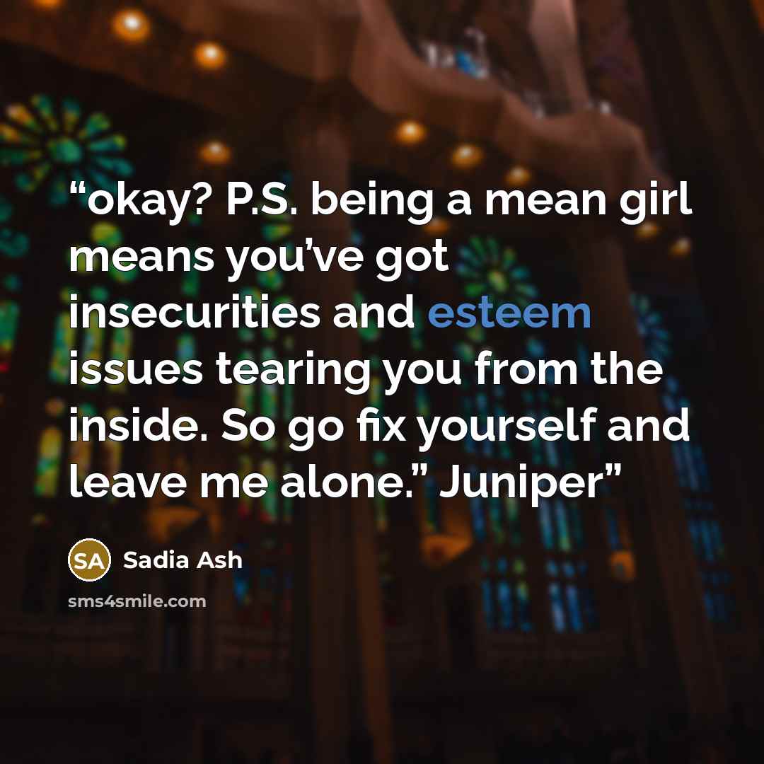 “okay? P.S. being a mean girl means you’ve got insecurities and esteem issues tearing you from the inside. So go fix yourself and leave me alone.” Juniper” quote by Sadia Ash