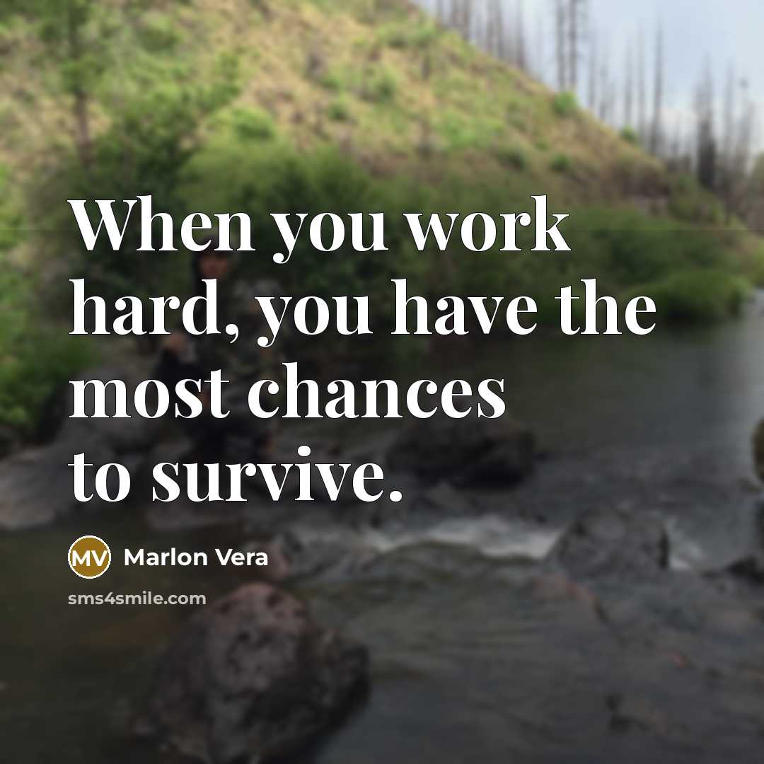 “When you work hard, you have the most chances to survive.” quote by Marlon Vera
