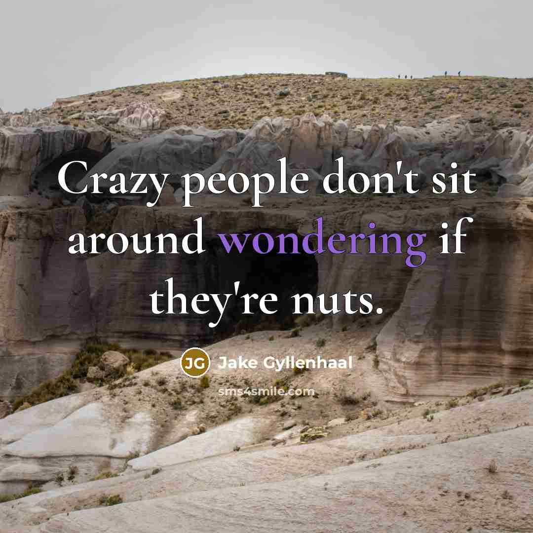 “Crazy people don't sit around wondering if they're nuts.” quote by Jake Gyllenhaal