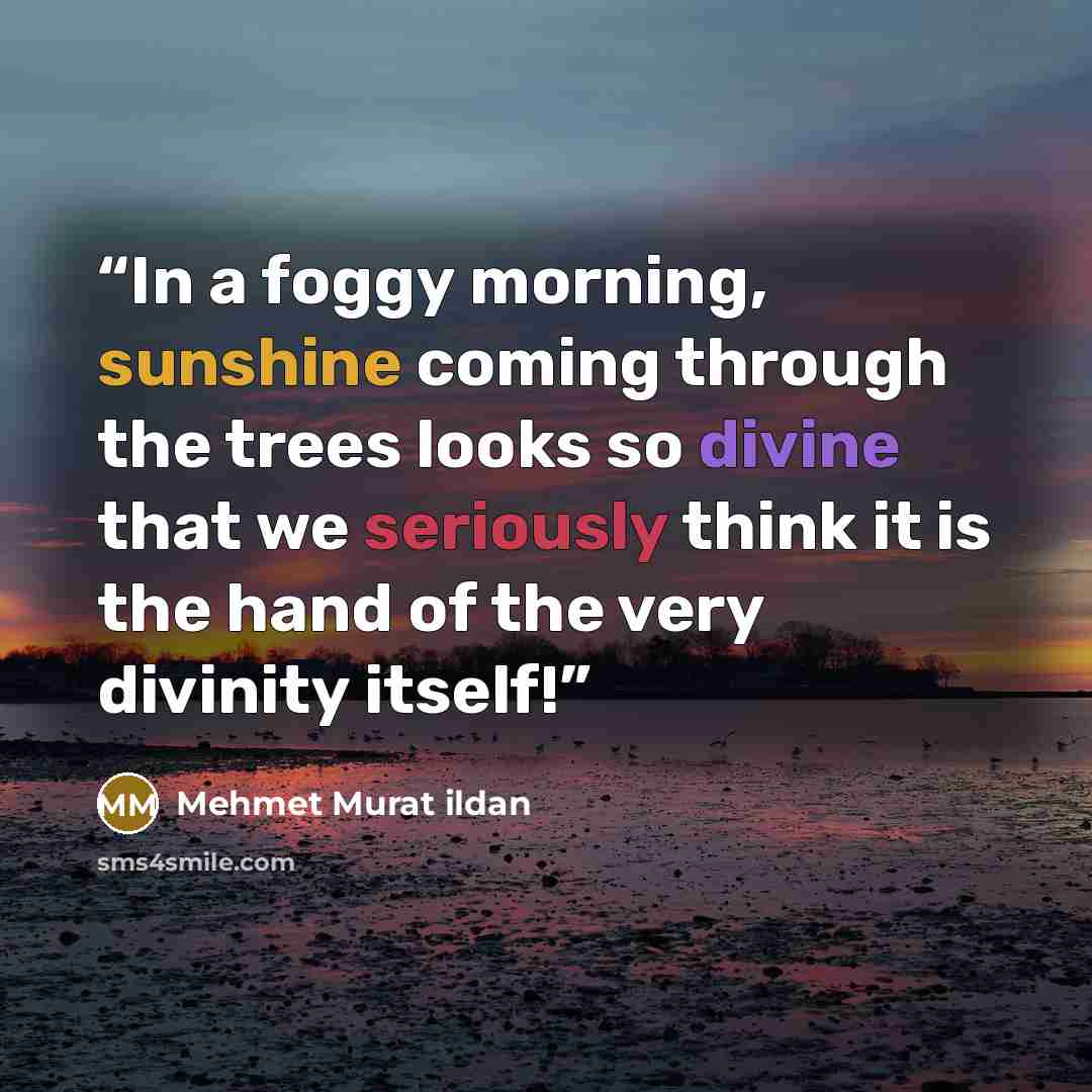 “In a foggy morning, sunshine coming through the trees looks so divine that we seriously think it is the hand of the very divinity itself!” quote by Mehmet Murat ildan