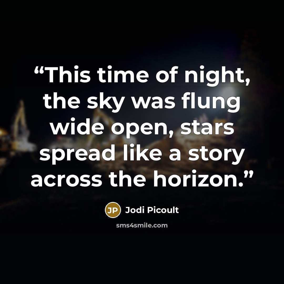 “This time of night, the sky was flung wide open, stars spread like a story across the horizon.” quote by Jodi Picoult