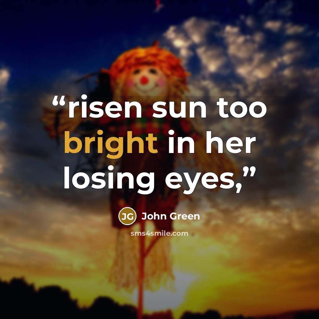 “risen sun too bright in her losing eyes,” quote by John Green