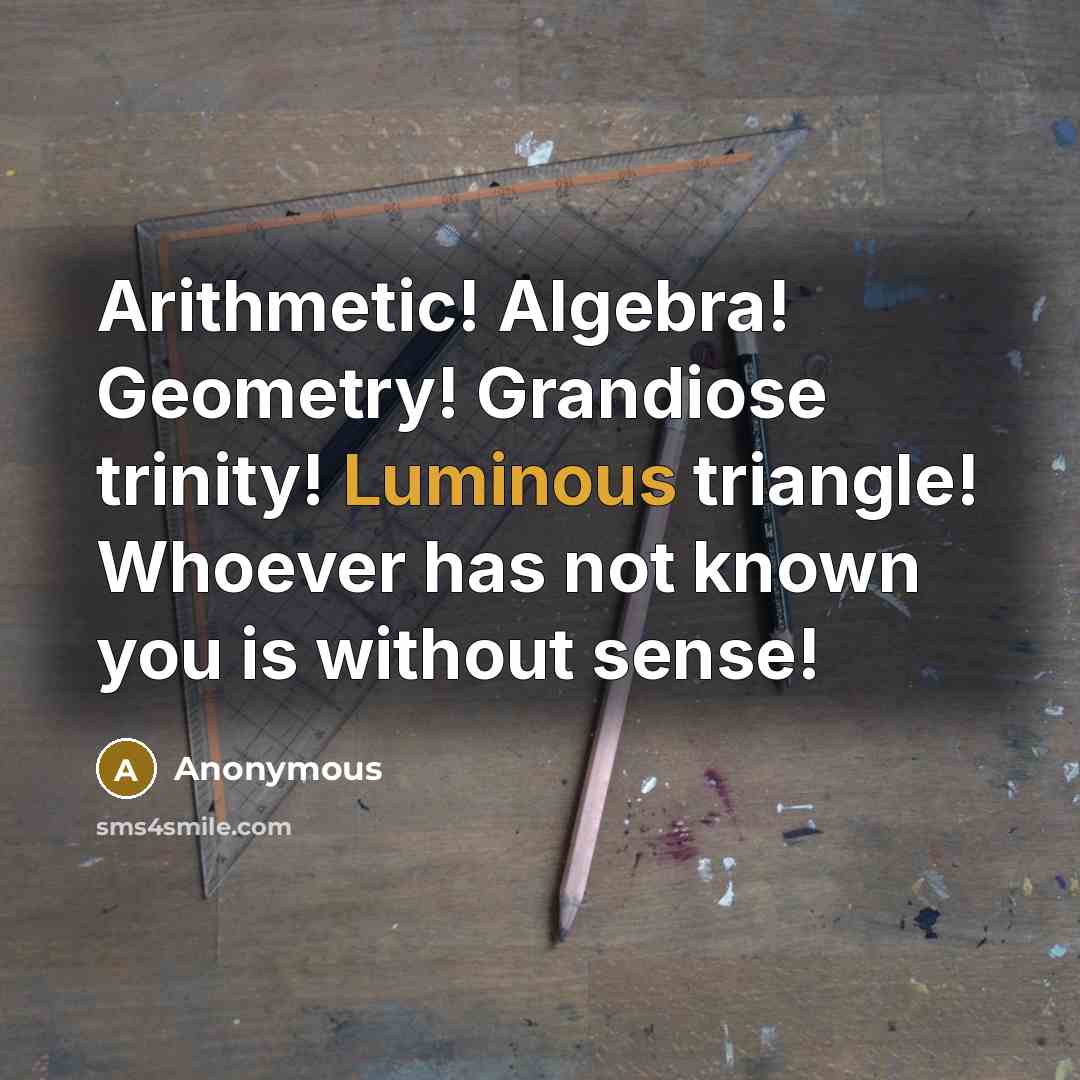 “Arithmetic! Algebra! Geometry! Grandiose trinity! Luminous triangle! Whoever has not known you is without sense!” quote by Anonymous