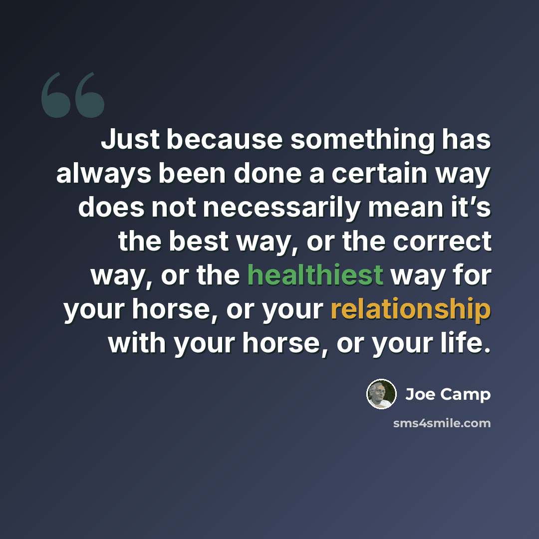 “Just because something has always been done a certain way does not necessarily mean it’s the best way, or the correct way, or the healthiest way for your horse, or your relationship with your horse, or your life.” quote by Joe Camp