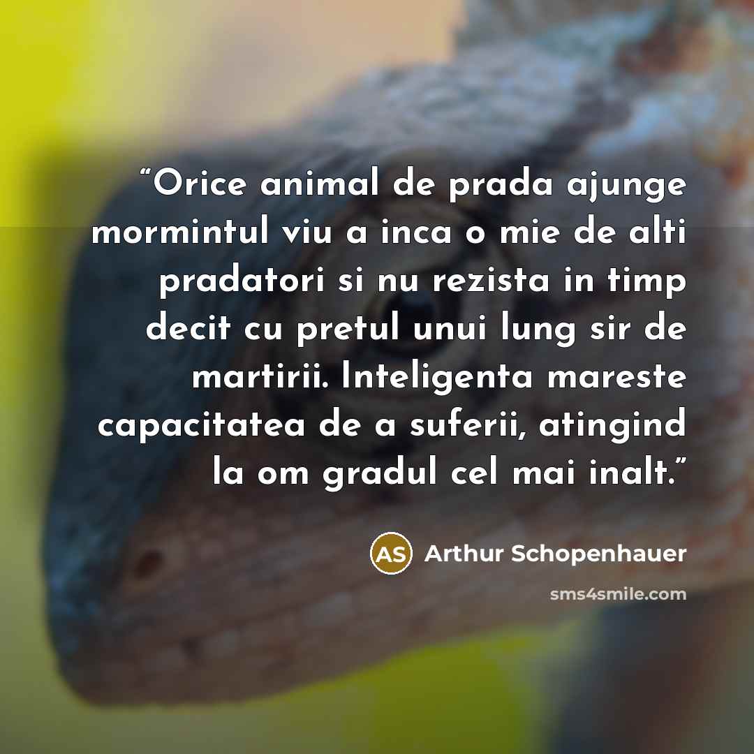 “Orice animal de prada ajunge mormintul viu a inca o mie de alti pradatori si nu rezista in timp decit cu pretul unui lung sir de martirii. Inteligenta mareste capacitatea de a suferii, atingind la om gradul cel mai inalt.” quote by Arthur Schopenhauer
